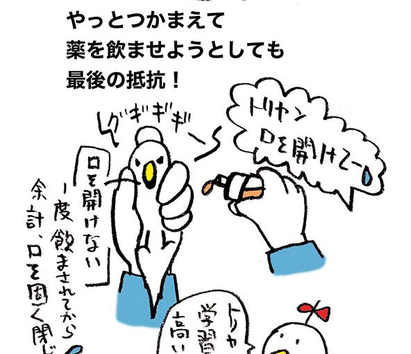 さかｐいらすと