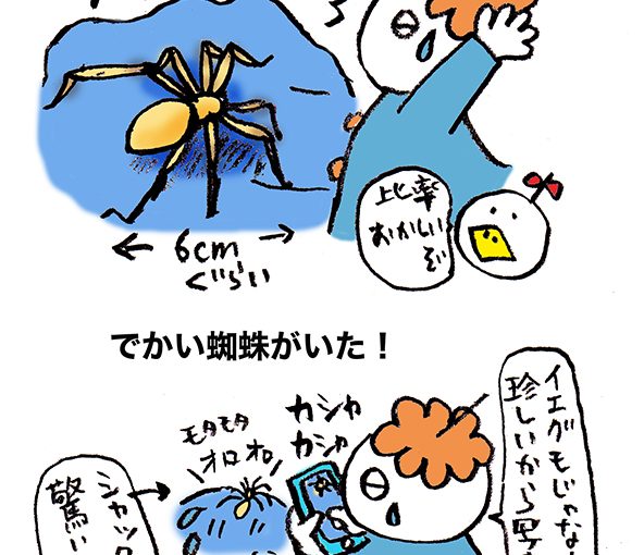 落書きブログ　さかｐいらすと