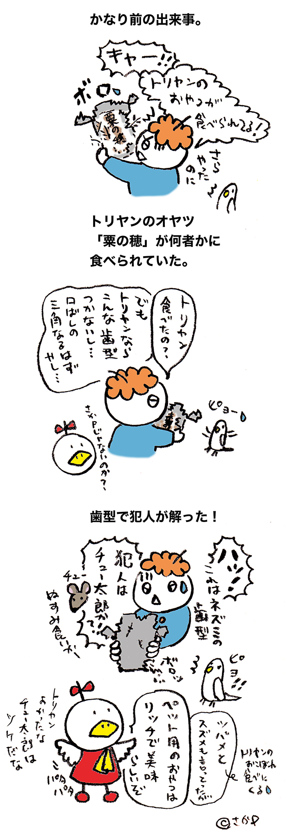 落書きブログ　さかｐイラスト