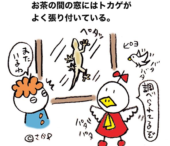 落書きブログ　さかｐイラスト