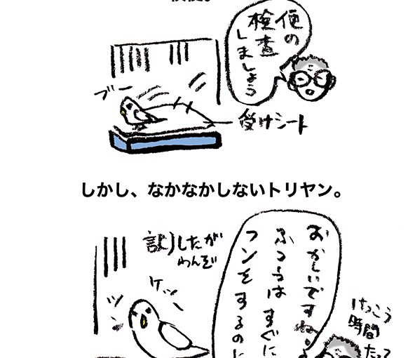 落書きブログ　さかｐいらすと
